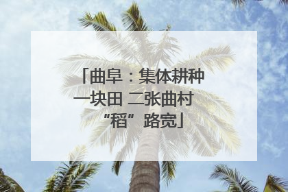 曲阜：集体耕种一块田 二张曲村“稻”路宽