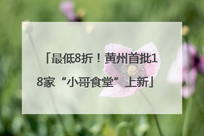 最低8折！黄州首批18家“小哥食堂”上新