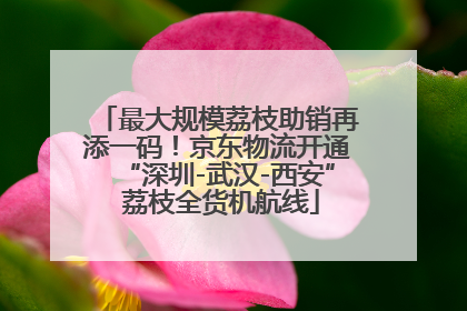 最大规模荔枝助销再添一码！京东物流开通“深圳-武汉-西安” 荔枝全货机航线
