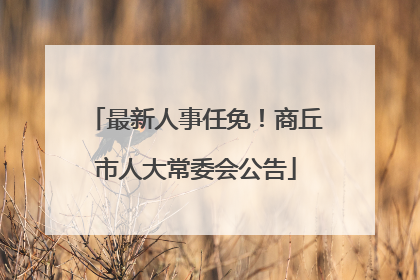 最新人事任免！商丘市人大常委会公告