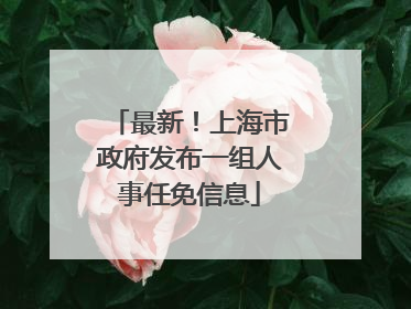 最新！上海市政府发布一组人事任免信息