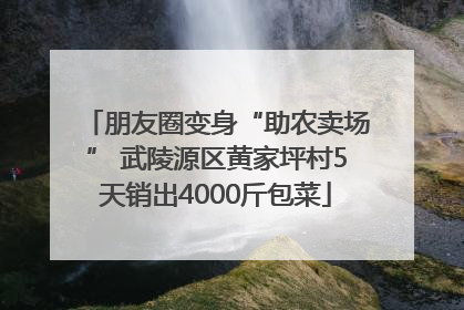 朋友圈变身“助农卖场” 武陵源区黄家坪村5天销出4000斤包菜