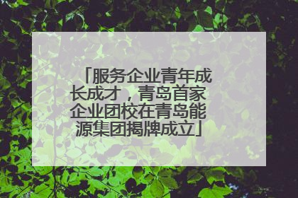 服务企业青年成长成才，青岛首家企业团校在青岛能源集团揭牌成立