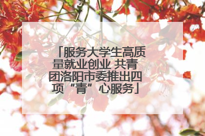 服务大学生高质量就业创业 共青团洛阳市委推出四项“青”心服务