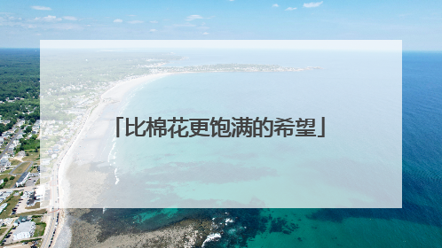 比棉花更饱满的希望