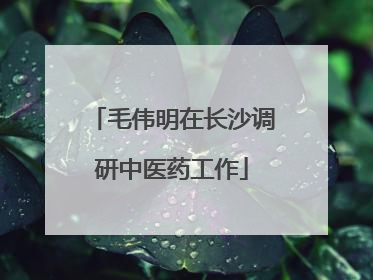 毛伟明在长沙调研中医药工作
