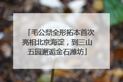 毛公鼎全形拓本首次亮相北京海淀，到三山五园邂逅金石潍坊
