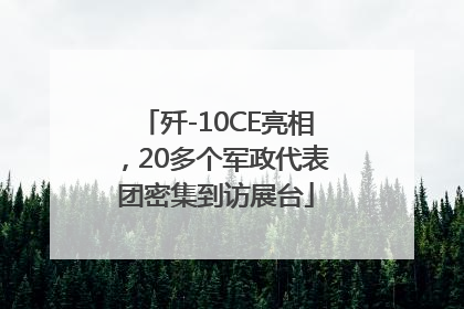 歼-10CE亮相，20多个军政代表团密集到访展台