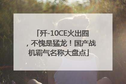 歼-10CE火出圈，不愧是猛龙！国产战机霸气名称大盘点