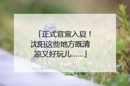 正式官宣入夏！沈阳这些地方既清凉又好玩儿……