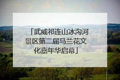 武威祁连山冰沟河景区第二届马兰花文化嘉年华启幕