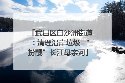 武昌区白沙洲街道：清理沿岸垃圾 “扮靓”长江母亲河