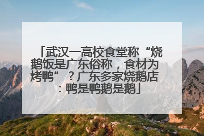 武汉一高校食堂称“烧鹅饭是广东俗称，食材为烤鸭”？广东多家烧鹅店：鸭是鸭鹅是鹅