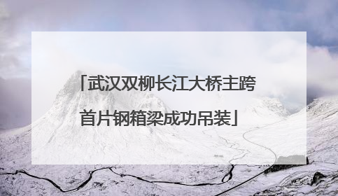 武汉双柳长江大桥主跨首片钢箱梁成功吊装