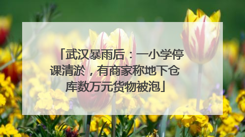 武汉暴雨后：一小学停课清淤，有商家称地下仓库数万元货物被泡
