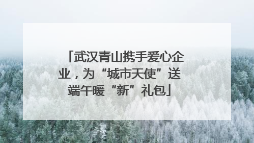 武汉青山携手爱心企业，为“城市天使”送端午暖“新”礼包