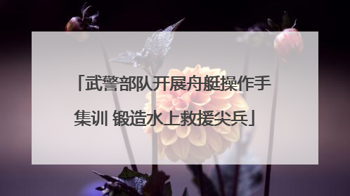 武警部队开展舟艇操作手集训 锻造水上救援尖兵