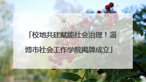 校地共建赋能社会治理！淄博市社会工作学院揭牌成立