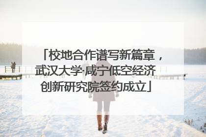 校地合作谱写新篇章，武汉大学·咸宁低空经济创新研究院签约成立