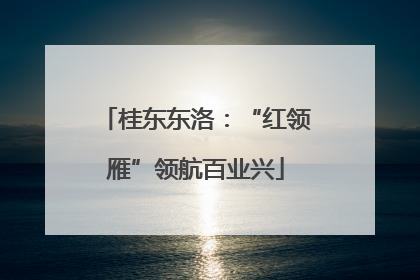 桂东东洛：“红领雁”领航百业兴