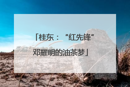 桂东：“红先锋”邓耀明的油茶梦