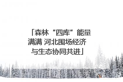 森林“四库”能量满满 河北围场经济与生态协同共进