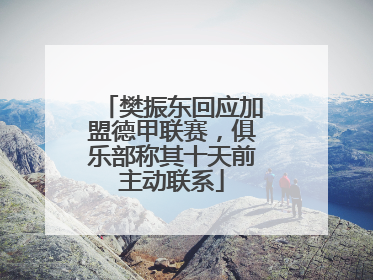 樊振东回应加盟德甲联赛，俱乐部称其十天前主动联系