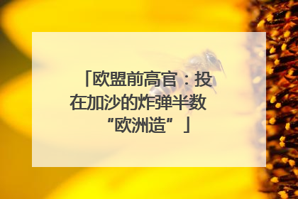 欧盟前高官：投在加沙的炸弹半数“欧洲造”
