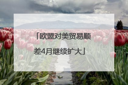 欧盟对美贸易顺差4月继续扩大