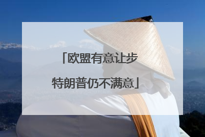 欧盟有意让步 特朗普仍不满意