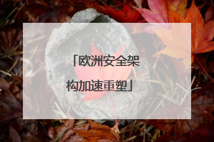 欧洲安全架构加速重塑