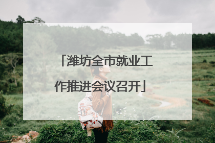 潍坊全市就业工作推进会议召开