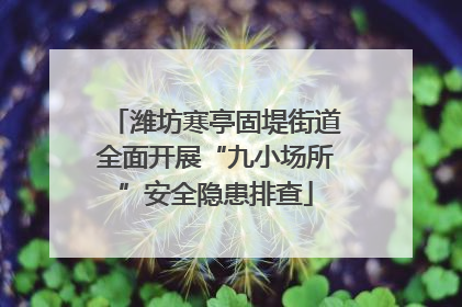 潍坊寒亭固堤街道全面开展“九小场所”安全隐患排查