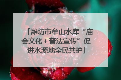 潍坊市牟山水库“庙会文化＋普法宣传”促进水源地全民共护