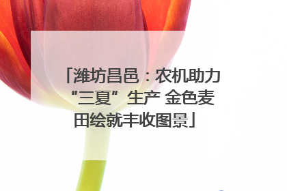 潍坊昌邑：农机助力“三夏”生产 金色麦田绘就丰收图景