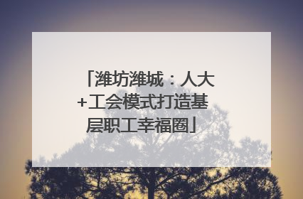 潍坊潍城：人大+工会模式打造基层职工幸福圈