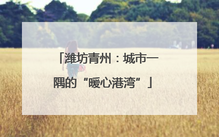 潍坊青州：城市一隅的“暖心港湾”