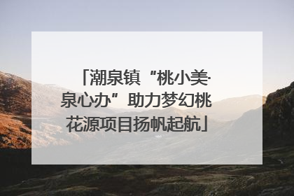 潮泉镇“桃小美·泉心办”助力梦幻桃花源项目扬帆起航