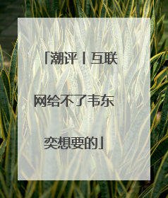 潮评丨互联网给不了韦东奕想要的