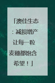 澳佳生态：减损增产 让每一粒麦穗都饱含希望！