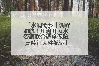 水润蜀乡丨调峰助航！川渝开展水资源联合调度保障嘉陵江大件航运