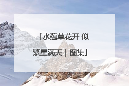 水蕴草花开 似繁星满天｜图集