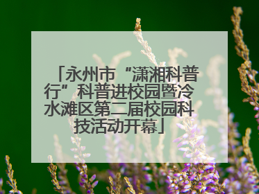 永州市“潇湘科普行”科普进校园暨冷水滩区第二届校园科技活动开幕