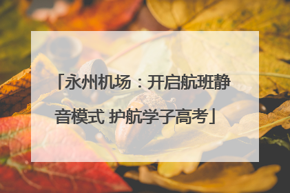 永州机场：开启航班静音模式 护航学子高考