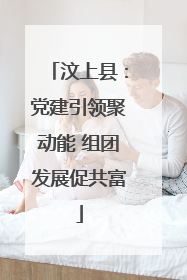 汶上县：党建引领聚动能 组团发展促共富