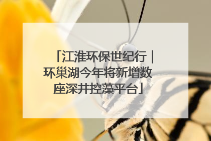 江淮环保世纪行｜环巢湖今年将新增数座深井控藻平台