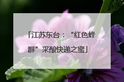 江苏东台：“红色蜂群”采酿快递之蜜