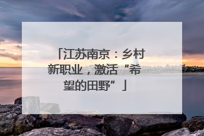 江苏南京：乡村新职业，激活“希望的田野”