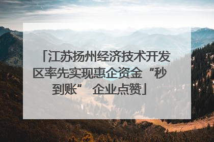 江苏扬州经济技术开发区率先实现惠企资金“秒到账” 企业点赞