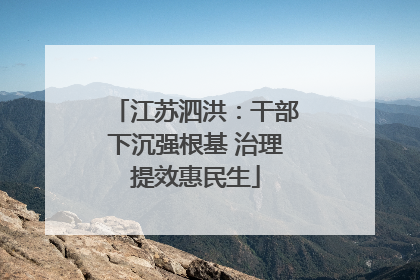 江苏泗洪：干部下沉强根基 治理提效惠民生
